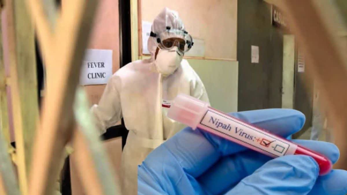 ଫେରିଲା ନିପା ଭାଇରସ ଭୟ, 2 ଆକ୍ରାନ୍ତ ହସ୍ପିଟାଲରେ ଭର୍ତ୍ତି